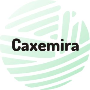 Caxemira