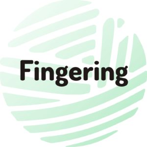 Fingering/ sock